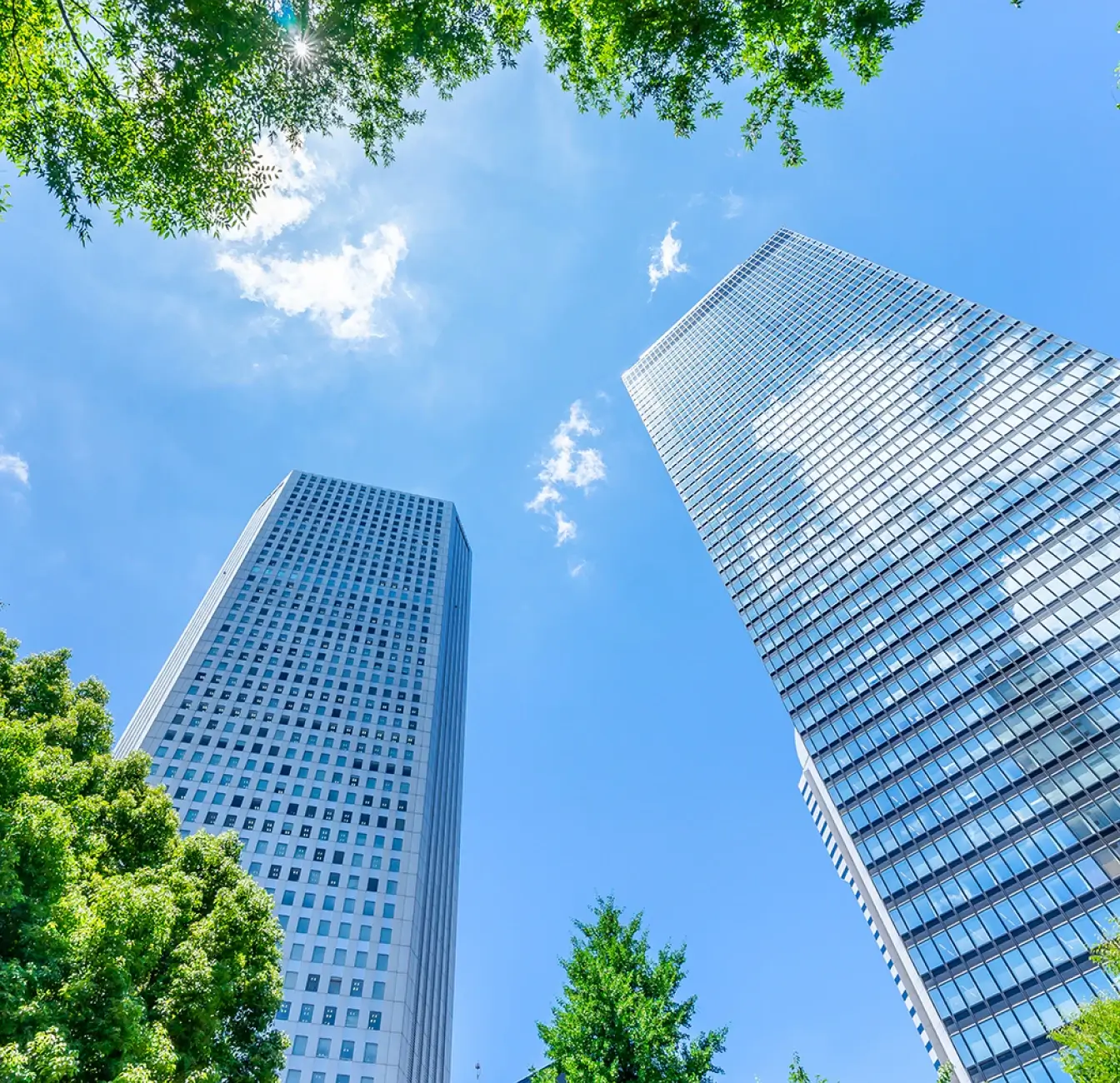 Two tall skyscrapers rise against a blue sky, surrounded by green trees at the base.